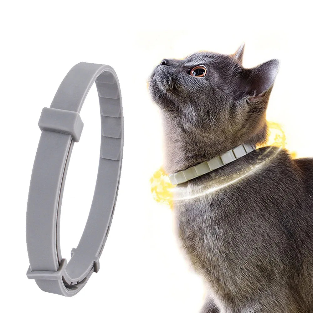 Coleira de proteção contra pulgas e carrapatos para cães